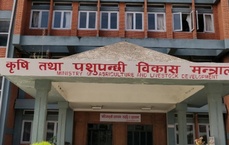 फाइल।